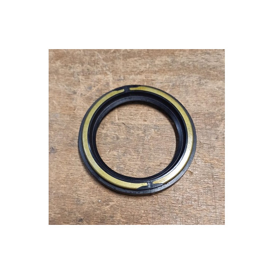 PARAOLIO POSTERIORE MASERATI 3500