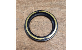 PARAOLIO POSTERIORE MASERATI 3500