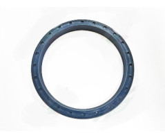 PARAOLIO POSTERIORE 275 330 365 400 TESTAROSSA 512 BB