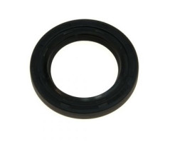 PARAOLIO ANTERIORE DINO E 246 3 SERIE