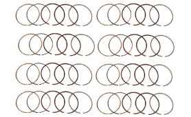 SERIE FASCE ELASTICHE 308 QV