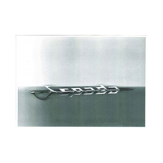 Lamborghini Espada Schriftzug