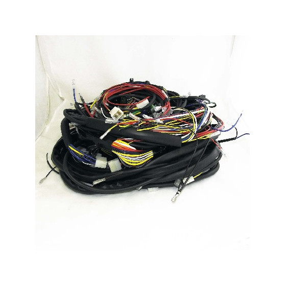 IMPIANTO ELETTRICO DINO 246 GTS 3 SERIE