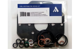 INJECTION OVERHAUL KIT FERRARI 308