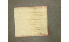 FILTRO ARIA TESTAROSSA