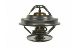 BITURBO INJECTION THERMOSTAT