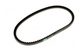 TESTAROSSA ALTERNATOR BELT