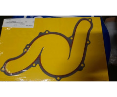 GUARNIZIONE POMPA ACQUA BITURBO