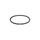 ALTERNATOR BELT