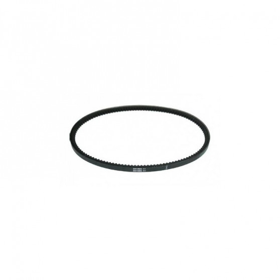 ALTERNATOR BELT