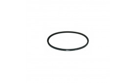 ALTERNATOR BELT